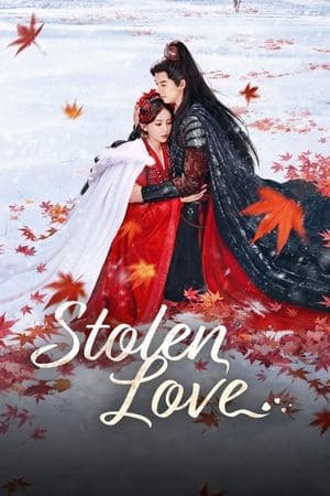 Stolen Love streaming