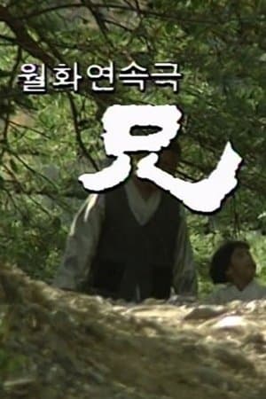 형 streaming