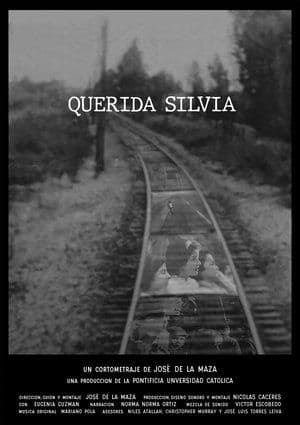 Dear Silvia streaming