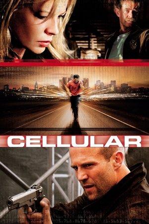 Cellular streaming