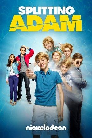 Splitting Adam streaming