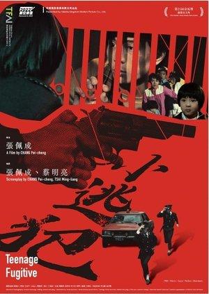 Teenage Fugitive streaming
