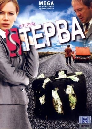 Bitch streaming