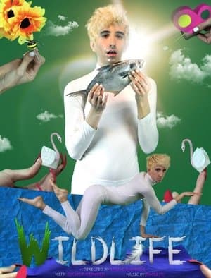 Wildlife streaming