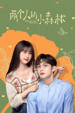 两个人的小森林 streaming