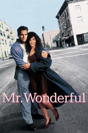 Mr. Wonderful streaming