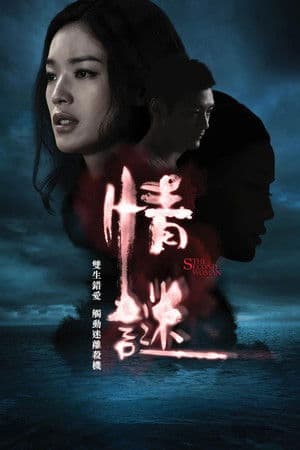 The Second Woman streaming