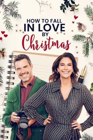 Coup de foudre en cadeau de Noël streaming