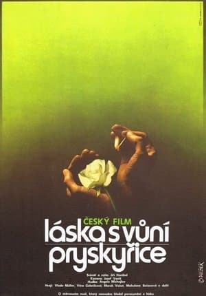 Láska s vůní pryskyřice streaming
