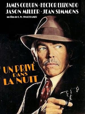 Un privé dans la nuit streaming