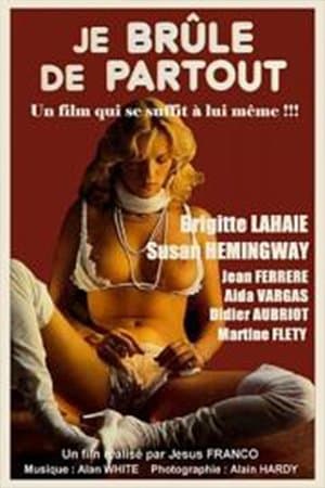 Je brûle de partout streaming