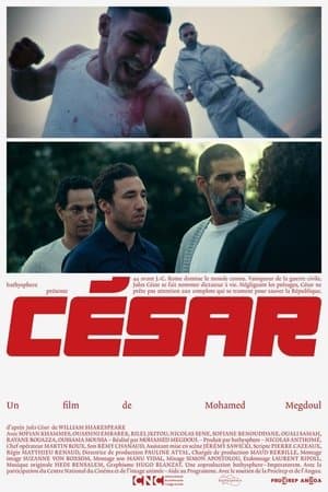 César streaming