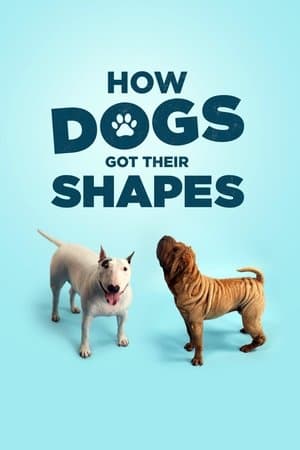 How Dogs Got Their Shapes streaming