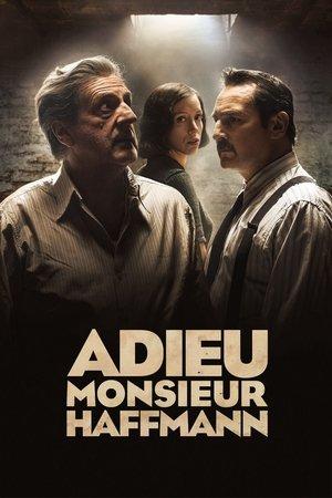 Adieu monsieur Haffmann streaming