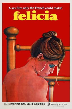 1001 Perversions of Felicia streaming