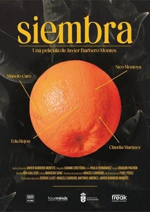 Siembra (c) streaming