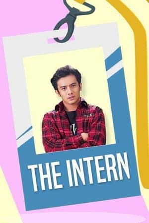 The Intern streaming