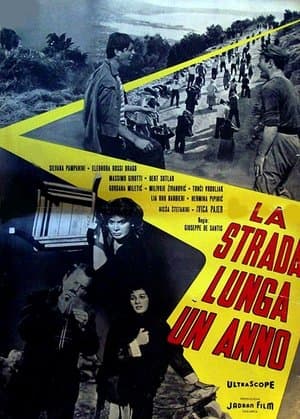 La strada lunga un anno streaming