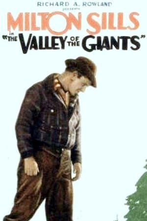 The Valley of the Giants streaming
