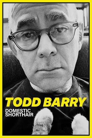 Todd Barry: Domestic Shorthair streaming