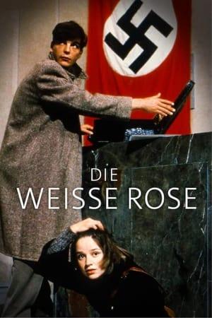 La Rose blanche streaming