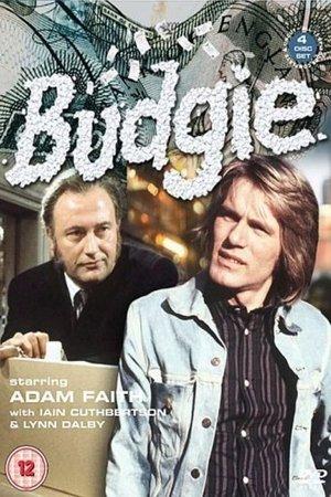 Budgie streaming