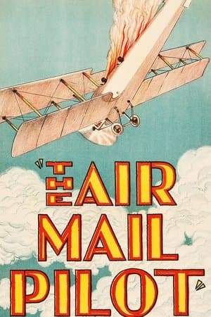 The Air Mail Pilot streaming