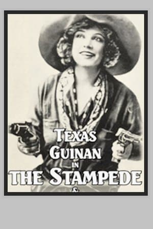 The Stampede streaming