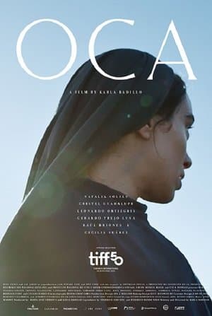 Oca streaming