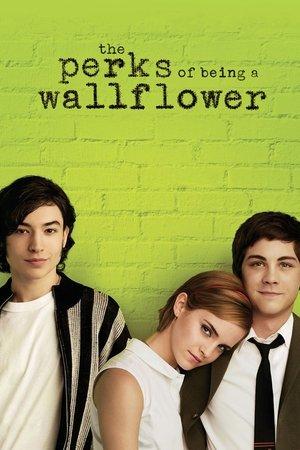 The Perks of Being a Wallflower streaming