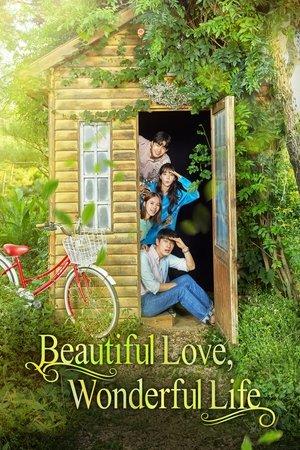 Beautiful Love, Wonderful Life streaming