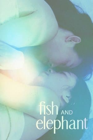 Fish and Elephant streaming