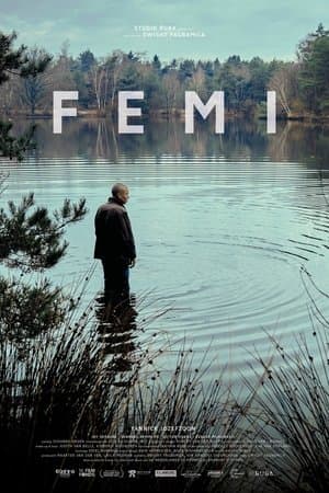 Femi streaming