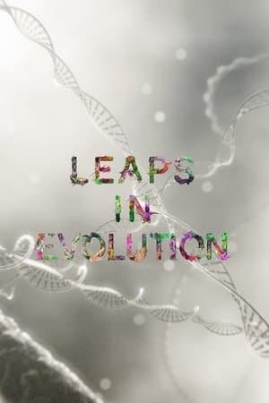 Leaps In Evolution streaming