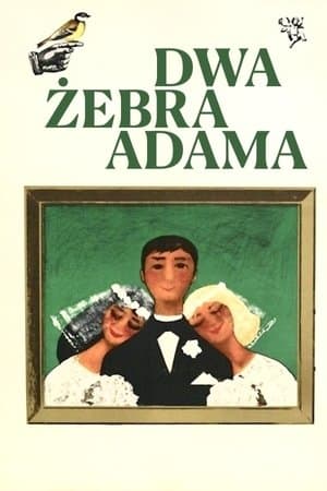 Dwa żebra Adama streaming