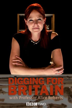 Digging for Britain streaming