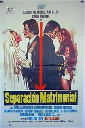 Separación matrimonial streaming