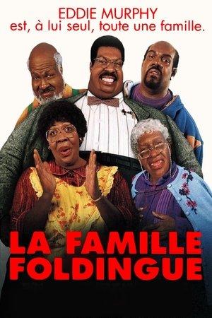 La Famille Foldingue streaming