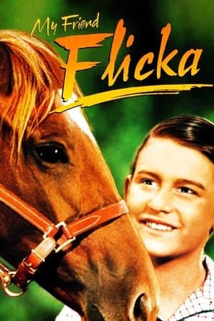 My Friend Flicka streaming