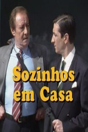 Sozinhos em Casa streaming