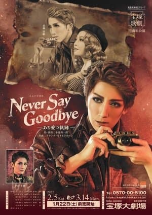 Never Say Goodbye streaming