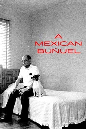 A Mexican Buñuel streaming