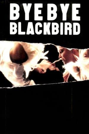 Bye Bye Blackbird streaming