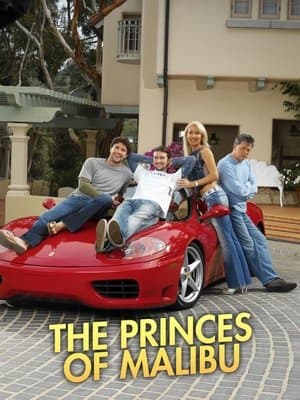 The Princes of Malibu streaming