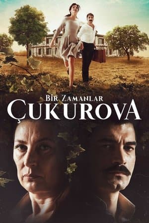 Bir Zamanlar Çukurova streaming
