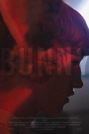 Bunny streaming