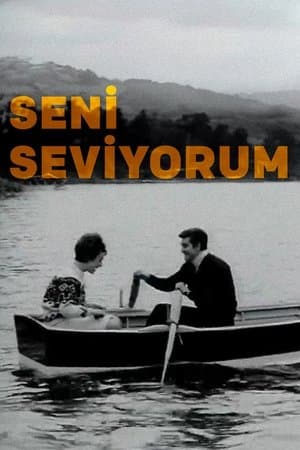 Seni Seviyorum streaming