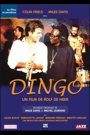 Dingo streaming