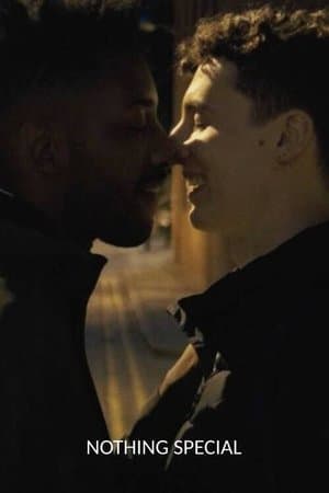 Nothing Special streaming