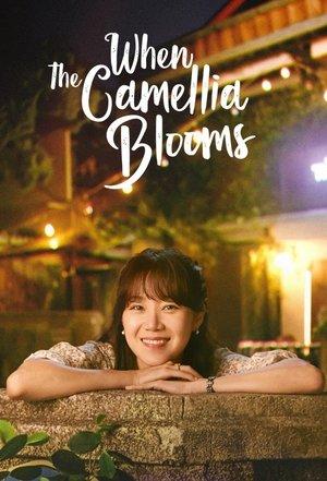 When the Camellia Blooms streaming